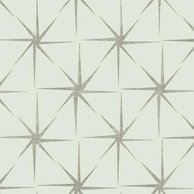 media image for Evening Star Wallpaper in Silver from the Grandmillennial Collection by York Wallcoverings 291
