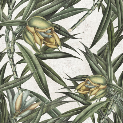 product image of Exotic Fruit II Wallpaper in Green and Grey from the Tropical Vibes Collection by Mind the Gap 587