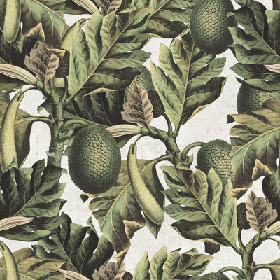 product image of Exotic Fruit I Wallpaper in Green and Grey from the Tropical Vibes Collection by Mind the Gap 572