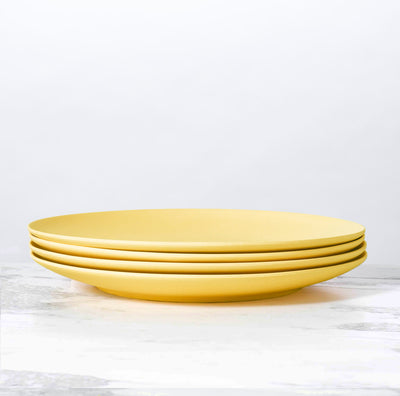 product image for palette bamboo dinner plate by fable new york 1 57