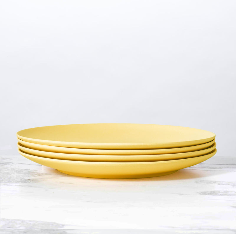 media image for palette bamboo dinner plate by fable new york 1 291