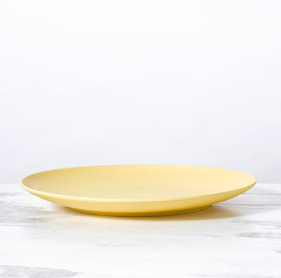 product image for Palette Bamboo Dinner Plate by Fable New York 60