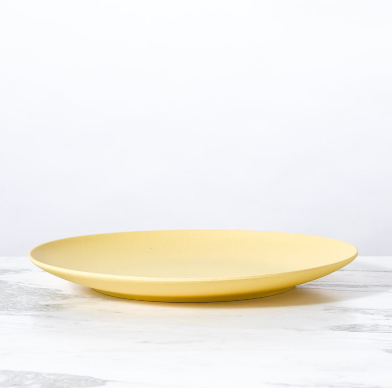 media image for Palette Bamboo Dinner Plate by Fable New York 26