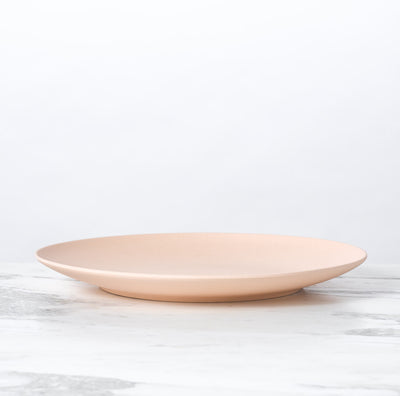product image for Palette Bamboo Dinner Plate by Fable New York 22