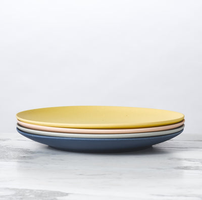 product image for palette bamboo dinner plate by fable new york 12 68