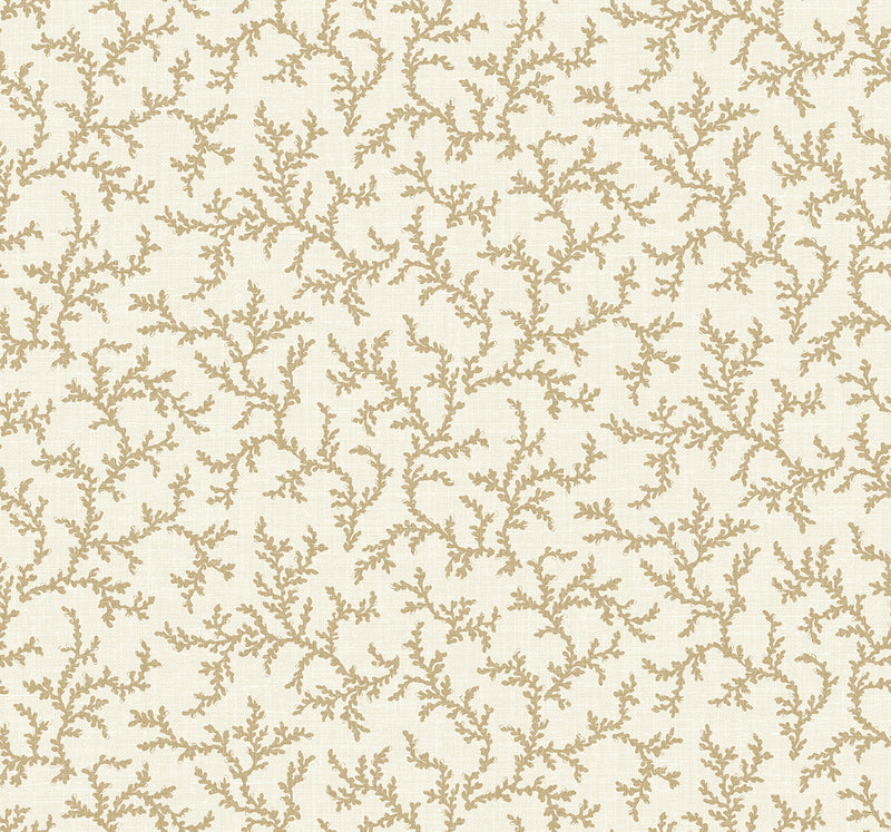 media image for Corail Wallpaper in Driftwood 220