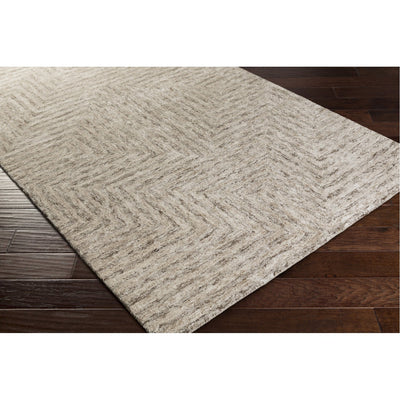 product image for Falcon FLC-8000 Hand Tufted Rug in Ivory & Taupe by Surya 65