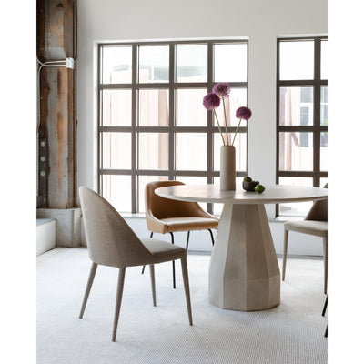 product image for Blaze Dining Chairs 10 39