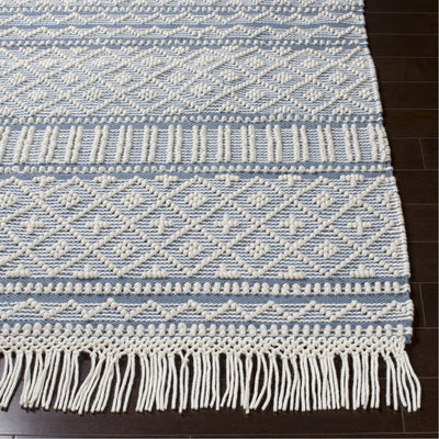 product image for Farmhouse Tassels FTS-2301 Hand Woven Rug in Denim & White by Surya 37