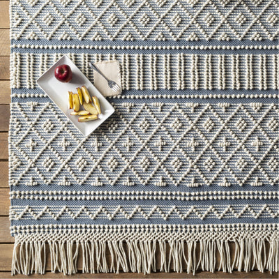 product image for Farmhouse Tassels FTS-2301 Hand Woven Rug in Denim & White by Surya 28