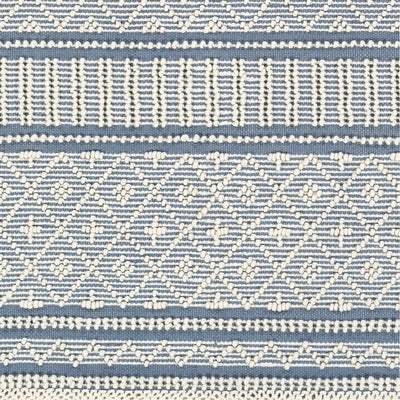 product image for Farmhouse Tassels FTS-2301 Hand Woven Rug in Denim & White by Surya 42