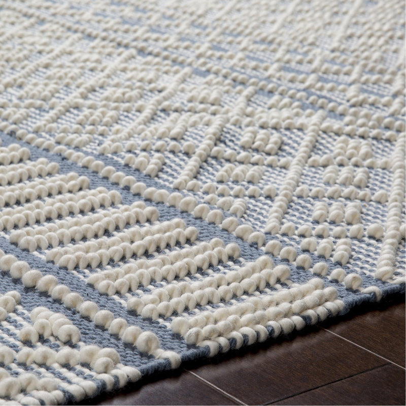 media image for Farmhouse Tassels FTS-2301 Hand Woven Rug in Denim & White by Surya 282
