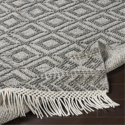 product image for Farmhouse Tassels FTS-2302 Hand Woven Rug in Black & White by Surya 87