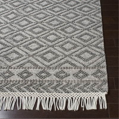 product image for Farmhouse Tassels FTS-2302 Hand Woven Rug in Black & White by Surya 79