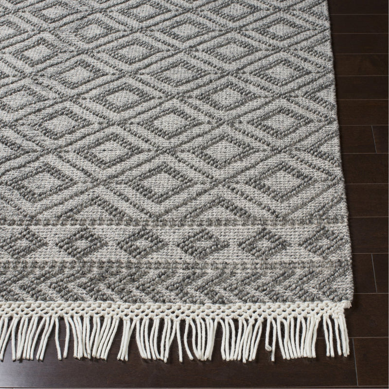 media image for Farmhouse Tassels FTS-2302 Hand Woven Rug in Black & White by Surya 262