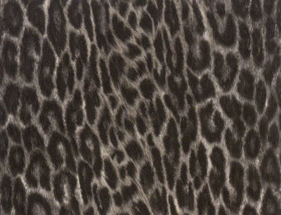 product image of sample faux leopard contact wallpaper in black and white by burke decor 1 572