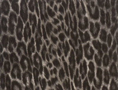 product image of sample faux leopard contact wallpaper in black and white by burke decor 1 547