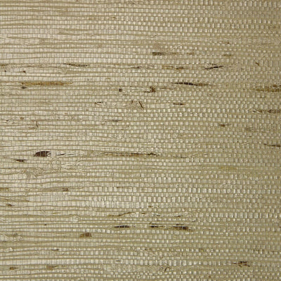 product image of Fine Arrowroot ER132 Wallpaper from the Essential Roots Collection by Burke Decor 536