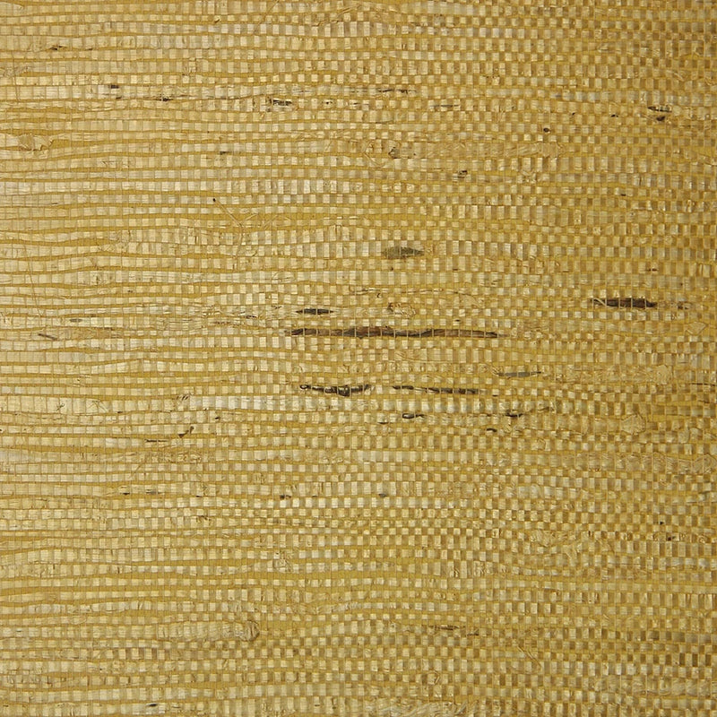 media image for sample fine arrowroot er133 wallpaper from the essential roots collection by burke decor 1 287