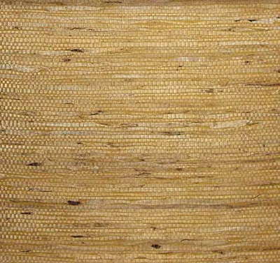 product image of Fine Arrowroot Wallpaper in Golden Yellow from the Winds of the Asian Pacific Collection by Burke Decor 557