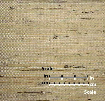 product image for Fine Arrowroot Wallpaper in Ivory from the Winds of the Asian Pacific Collection by Burke Decor 32