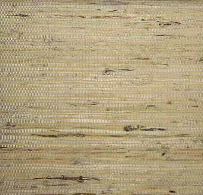 product image of Fine Arrowroot Wallpaper in Ivory from the Winds of the Asian Pacific Collection by Burke Decor 587