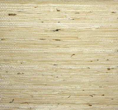 product image of Fine Arrowroot Wallpaper in Pearl Tan from the Winds of the Asian Pacific Collection by Burke Decor 529