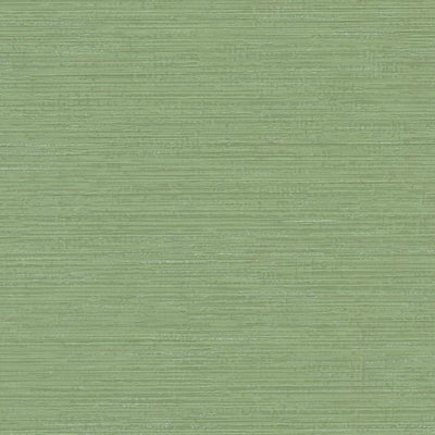 product image of Fine Line Wallpaper in Green from the Design Digest Collection by York Wallcoverings 590