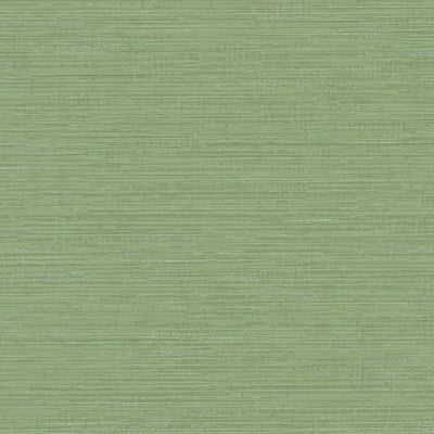 product image of sample fine line wallpaper in green from the design digest collection by york wallcoverings 1 557