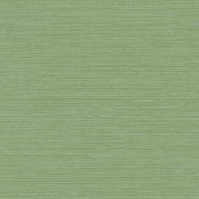 media image for sample fine line wallpaper in green from the design digest collection by york wallcoverings 1 229