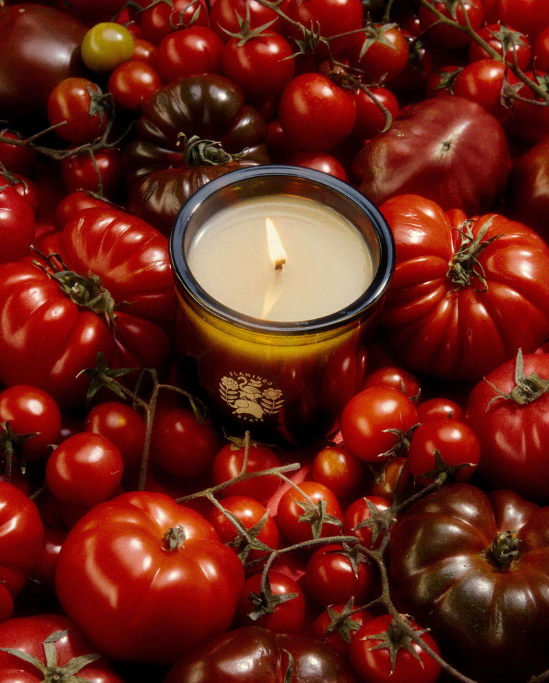media image for Roma Heirloom Tomato Candle 282