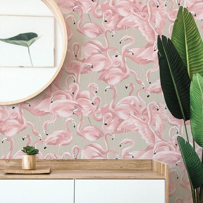 product image for Flamingo Self-Adhesive Wallpaper (Single Roll) in Ballerina Pink by Tempaper 96