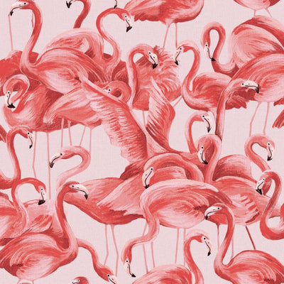 product image of sample flamingo self adhesive wallpaper single roll in cheeky pink by tempaper 1 557