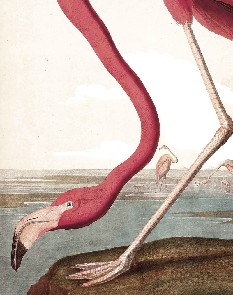 media image for Flamingo 012 Wallpaper Panel by KEK Amsterdam 245