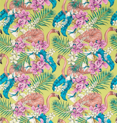 product image of Flamingo Club Fabric in Lime and Fuchsia by Matthew Williamson for Osborne & Little 510