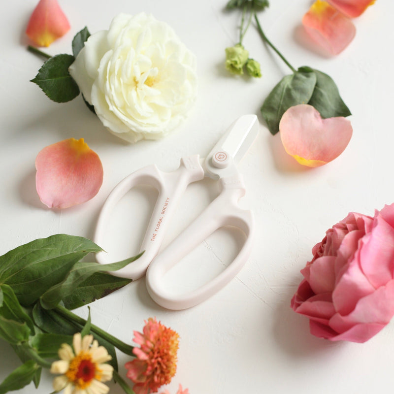 media image for Floral Clippers 283