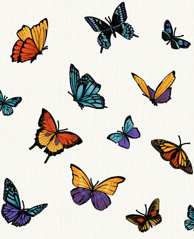 product image of Flutterby Wallpaper in Multi from the Capsule Collection by Graham & Brown 541