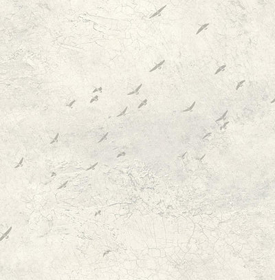 product image of sample fly north wallpaper in silver grey and cream from the transition collection by mayflower 1 550