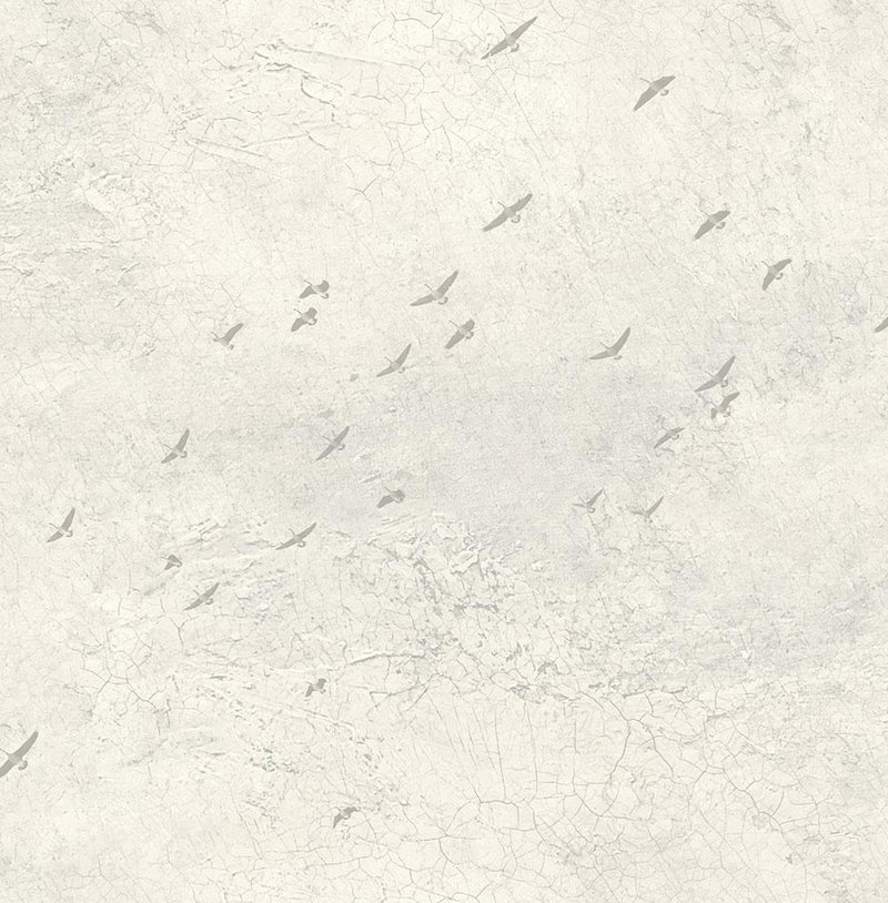 media image for sample fly north wallpaper in silver grey and cream from the transition collection by mayflower 1 297