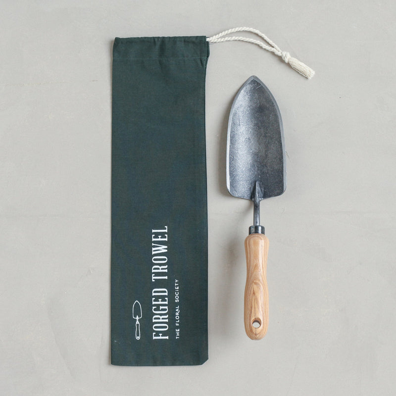 media image for Forged Trowel 20