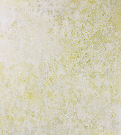 product image of Fresco Wallpaper in Lemon from the Enchanted Gardens Collection by Osborne & Little 518