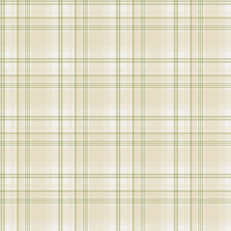 media image for Checked Green/Beige Wallpaper from the Kitchen Recipes Collection by Galerie Wallcoverings 214