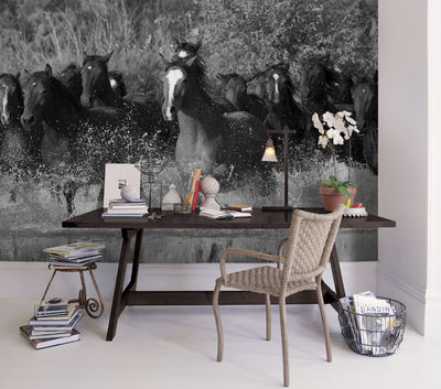 product image for Horses Wall Mural from the Global Fusion Collection by Galerie Wallcoverings 92