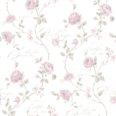 product image of Calligraphy Rose Pink/Green Wallpaper from the Vintage Roses Collection by Galerie Wallcoverings 576