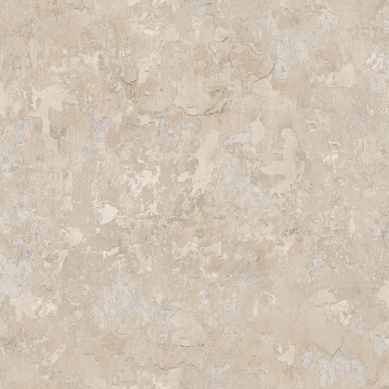 media image for Grunge Wall Putty Wallpaper from the Grunge Collection by Galerie Wallcoverings 249