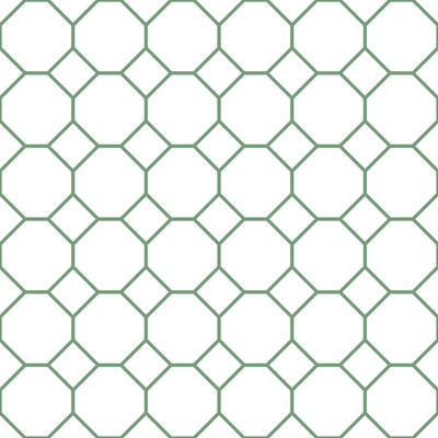 product image for Bee Hive Green/White Wallpaper from the Just Kitchens Collection by Galerie Wallcoverings 61