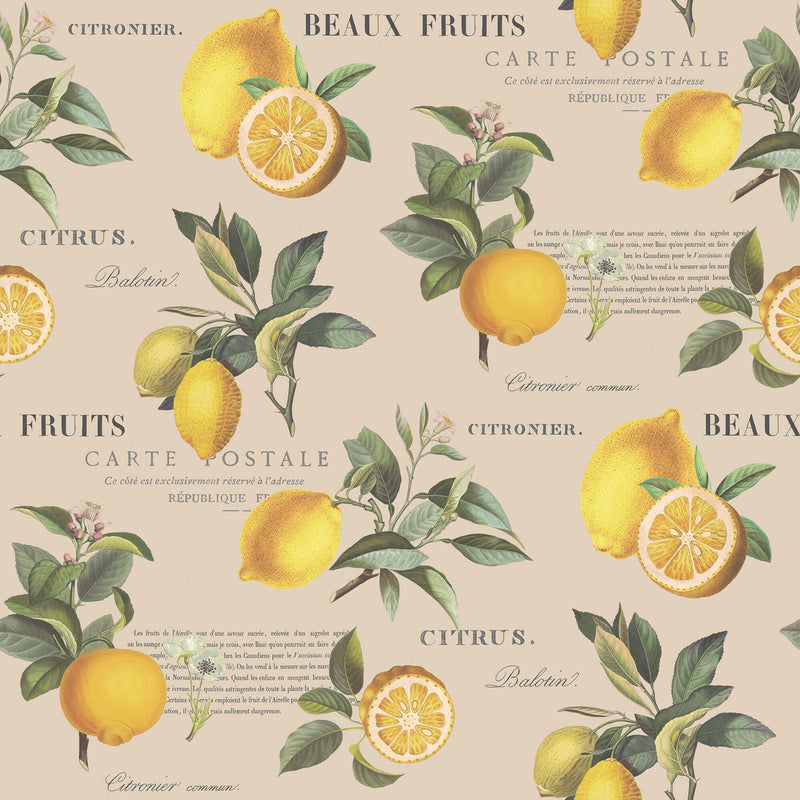media image for sample citron botanical taupe wallpaper from the just kitchens collection by galerie wallcoverings 1 247