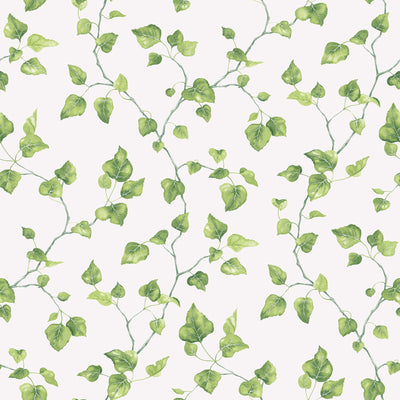 product image for Just Ivy Green Wallpaper from the Just Kitchens Collection by Galerie Wallcoverings 12