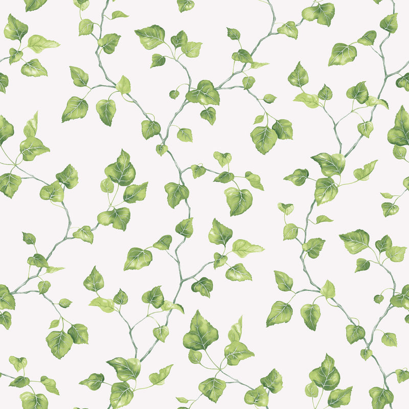 media image for Just Ivy Green Wallpaper from the Just Kitchens Collection by Galerie Wallcoverings 294
