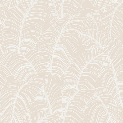 product image of sample broadleaf wallpaper in neutral taupe from the bazaar collection by galerie wallcoverings 1 538